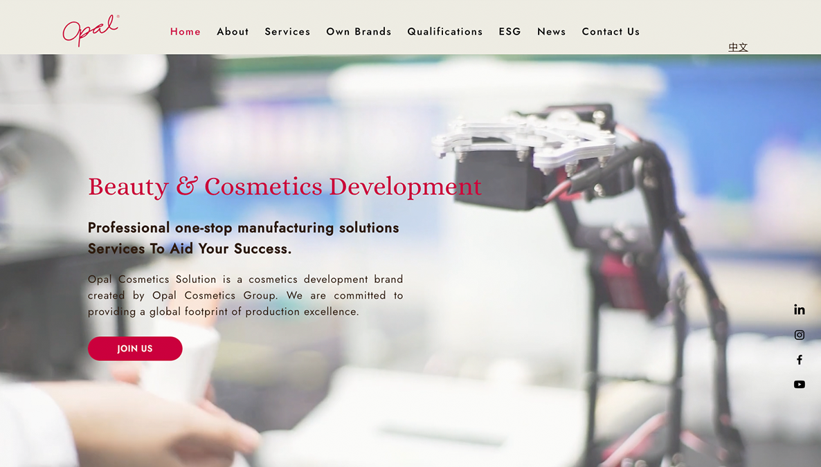 Before view of the previous Opal Cosmetics website