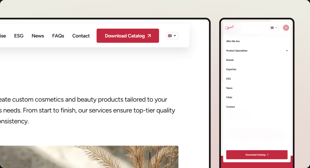 Opal Cosmetics catalog download CTA and contact form interaction